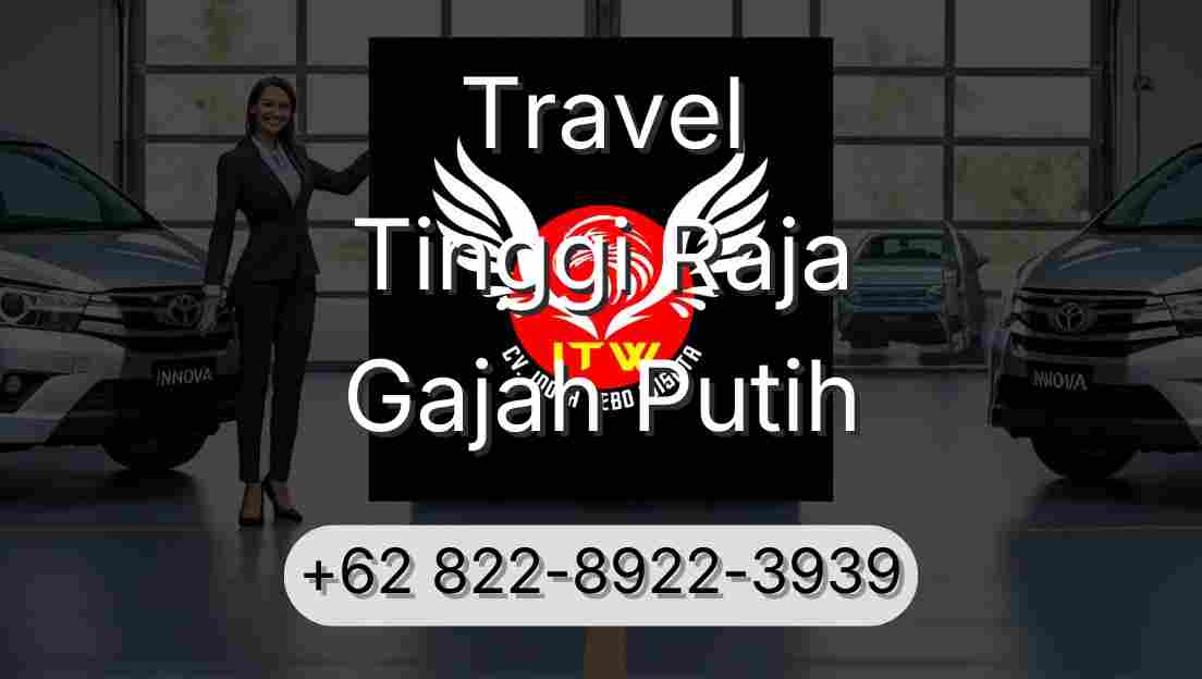 Travel Tinggi Raja Gajah Putih