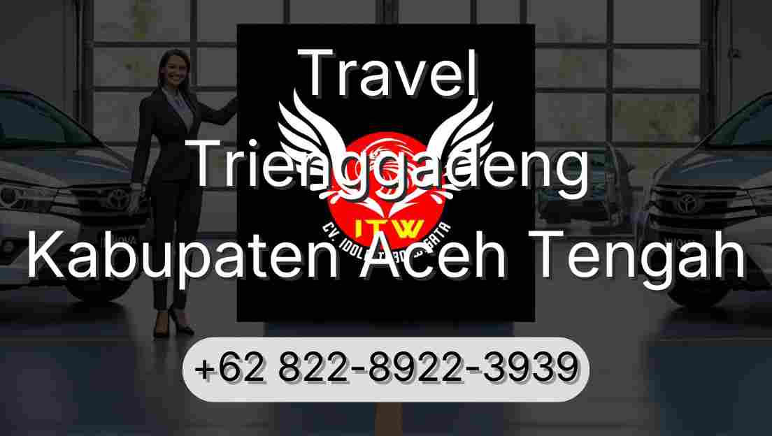 Travel Trienggadeng Kabupaten Aceh Tengah