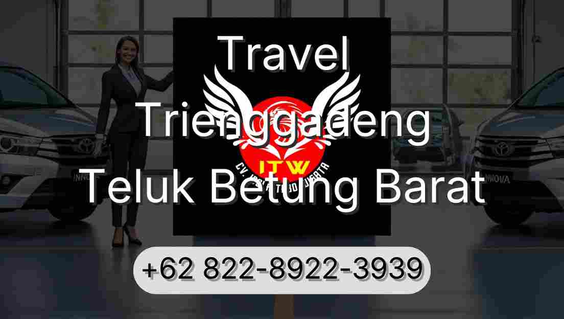Travel Trienggadeng Teluk Betung Barat