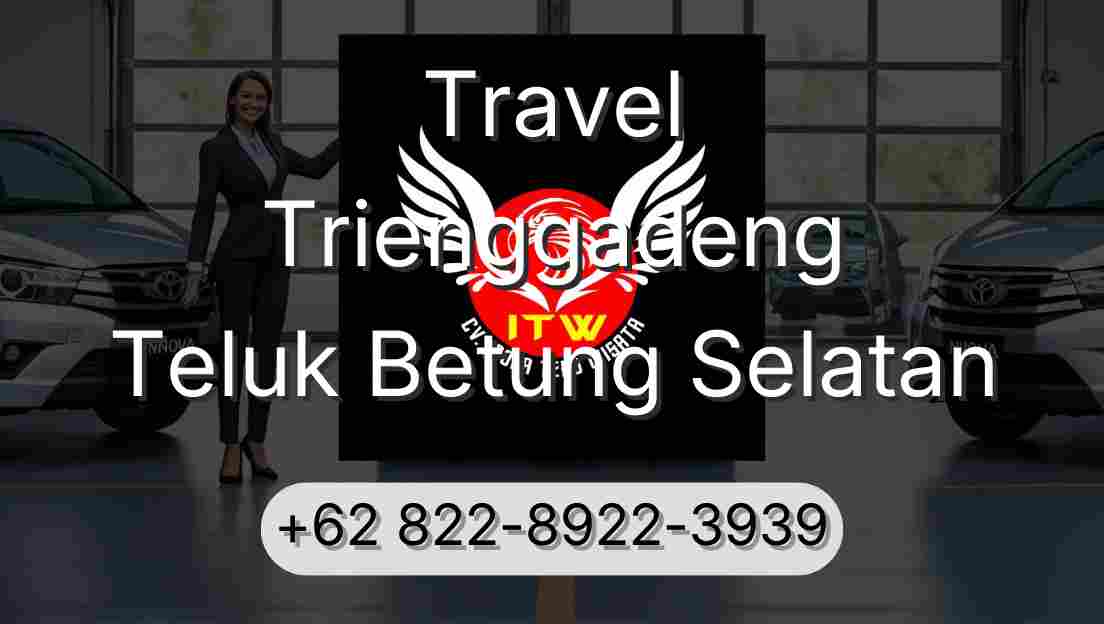 Travel Trienggadeng Teluk Betung Selatan
