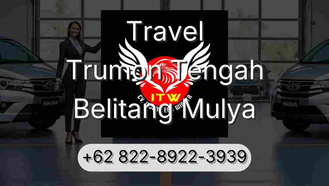 Travel Trumon Tengah Belitang Mulya