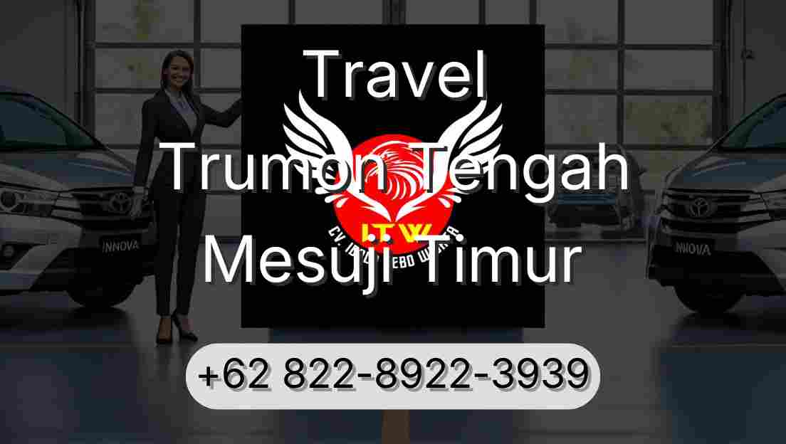 Travel Trumon Tengah Mesuji Timur