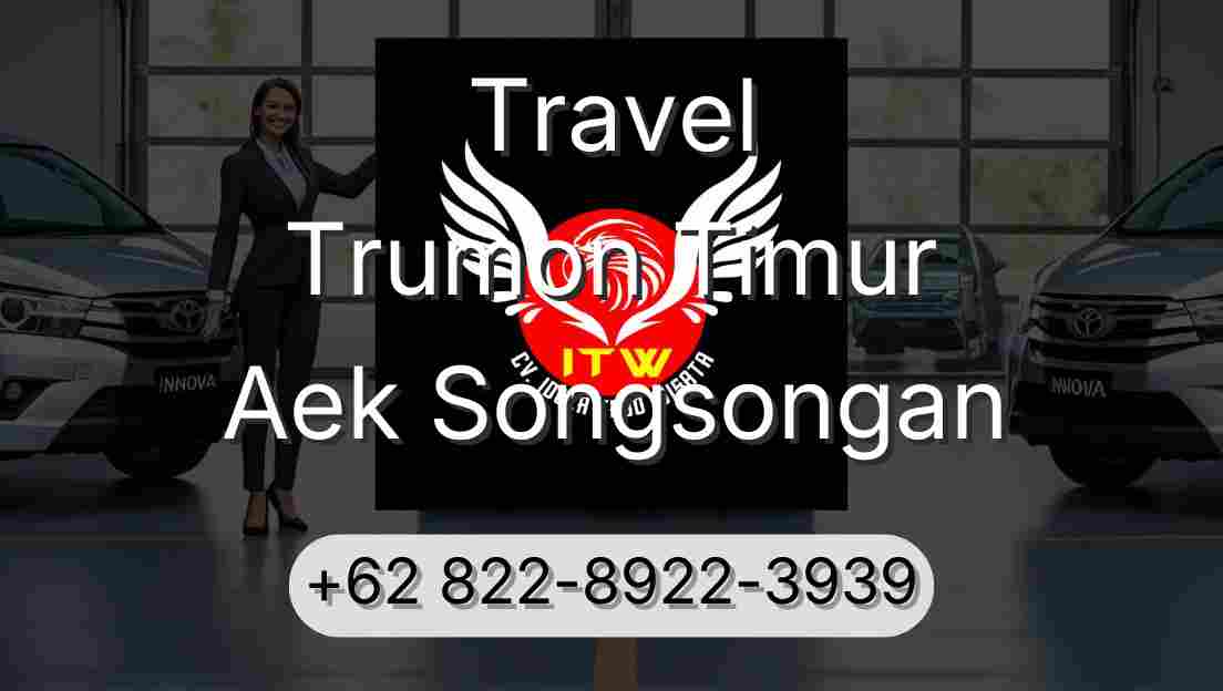 Travel Trumon Timur Aek Songsongan
