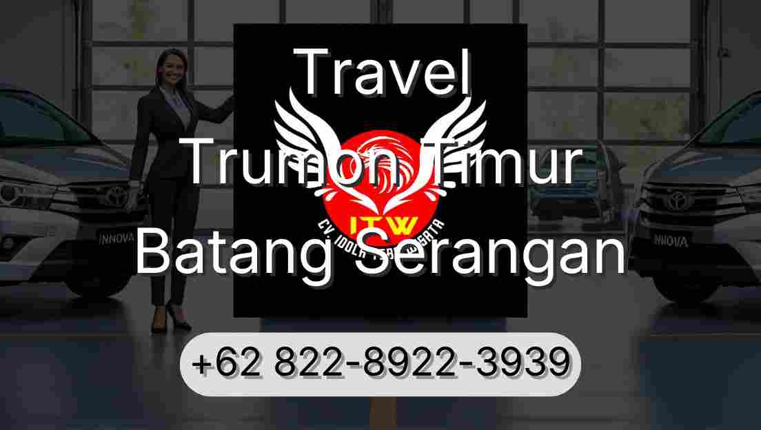 Travel Trumon Timur Batang Serangan