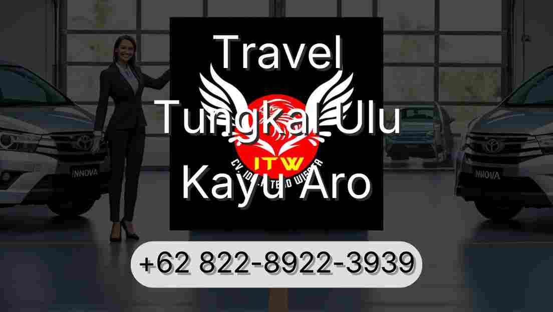 Travel Tungkal Ulu Kayu Aro