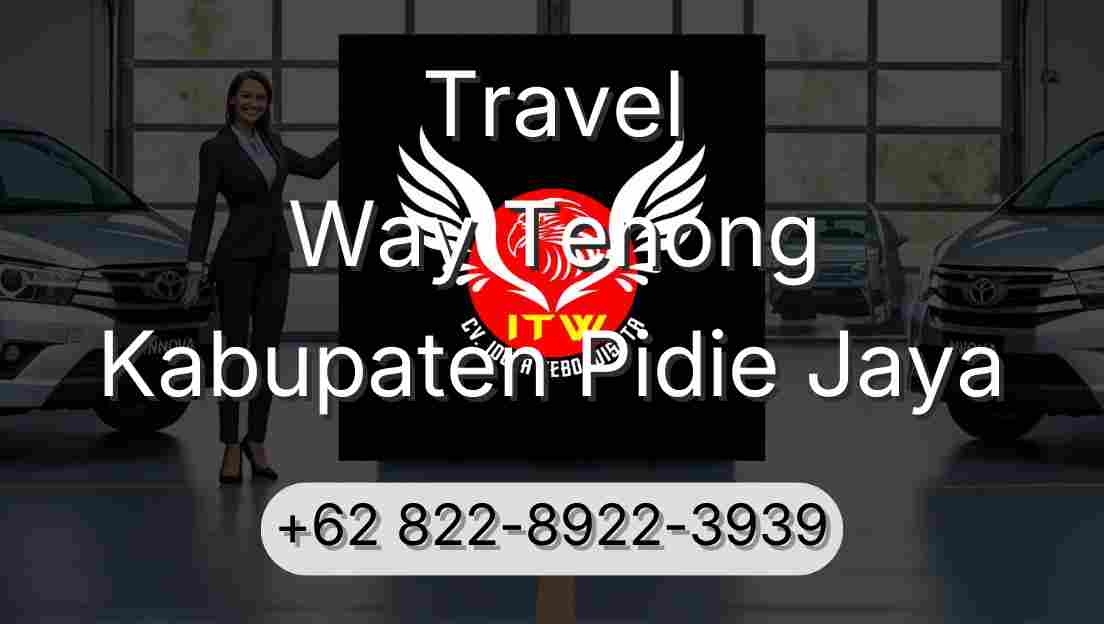 Travel Way Tenong Kabupaten Pidie Jaya