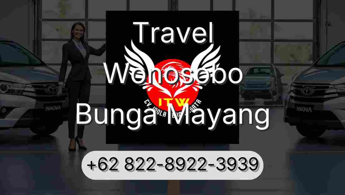 Travel Wonosobo Bunga Mayang