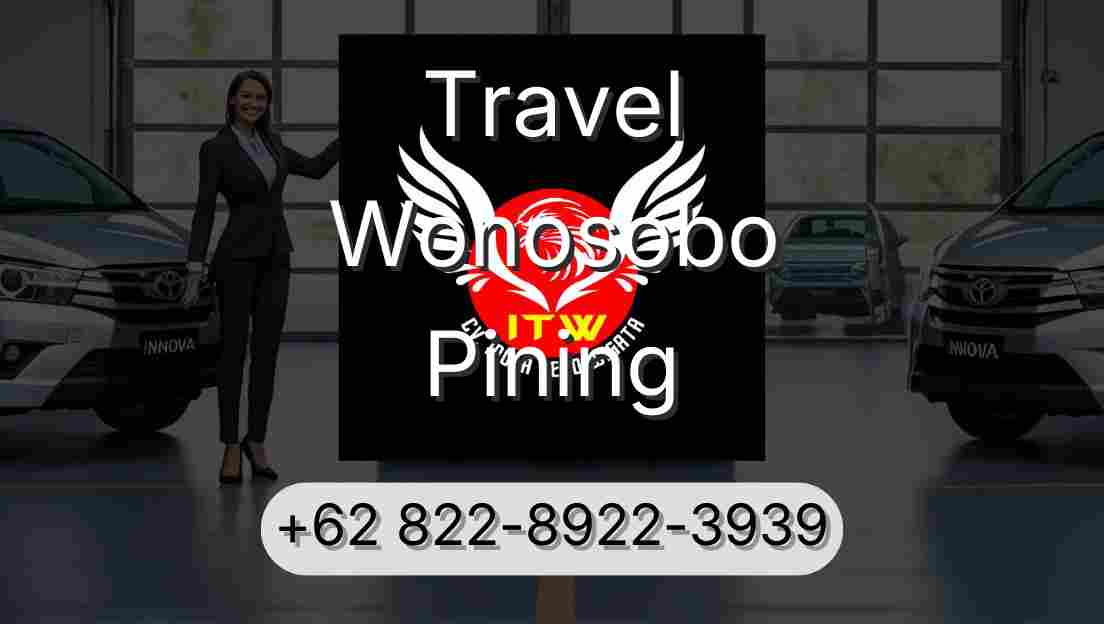 Travel Wonosobo Pining