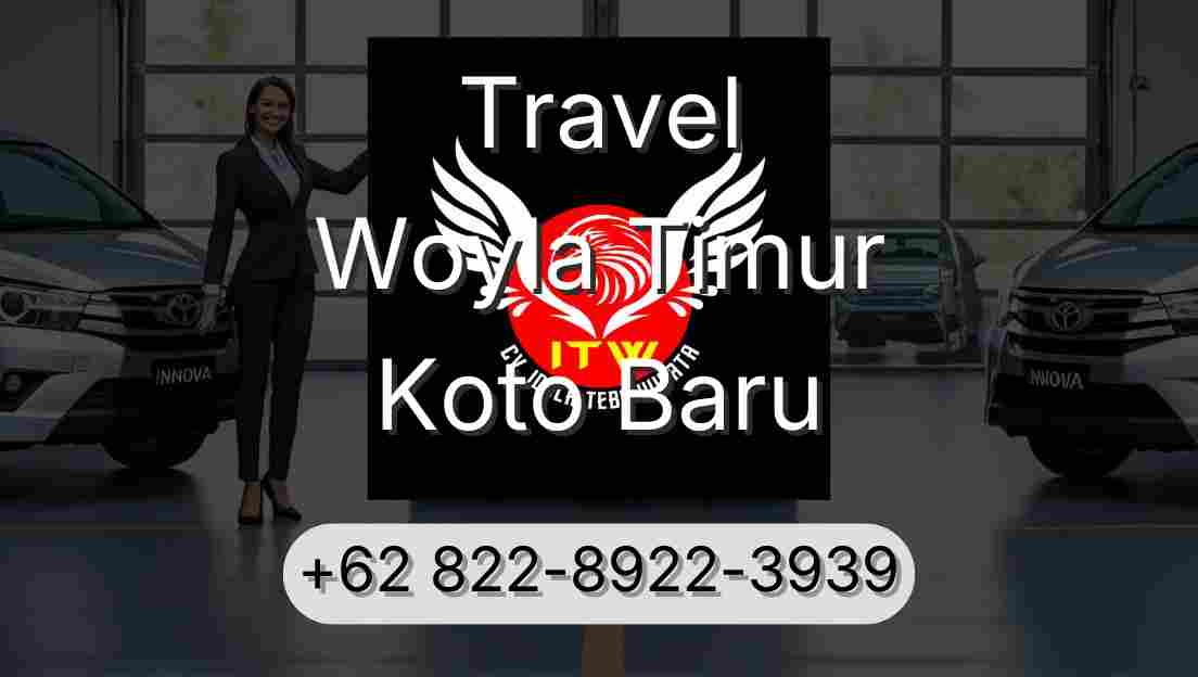 Travel Woyla Timur Koto Baru