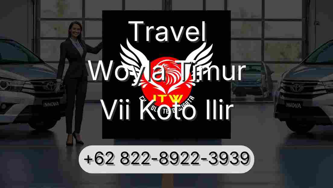 Travel Woyla Timur Vii Koto Ilir